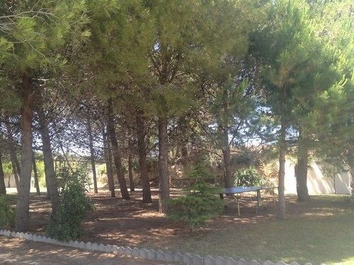 La Pinède D'estarac 3*